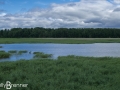 Wetlands