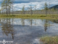 Tunturiaapa Nature trail