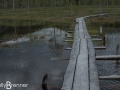 Tunturiaapa Nature trail