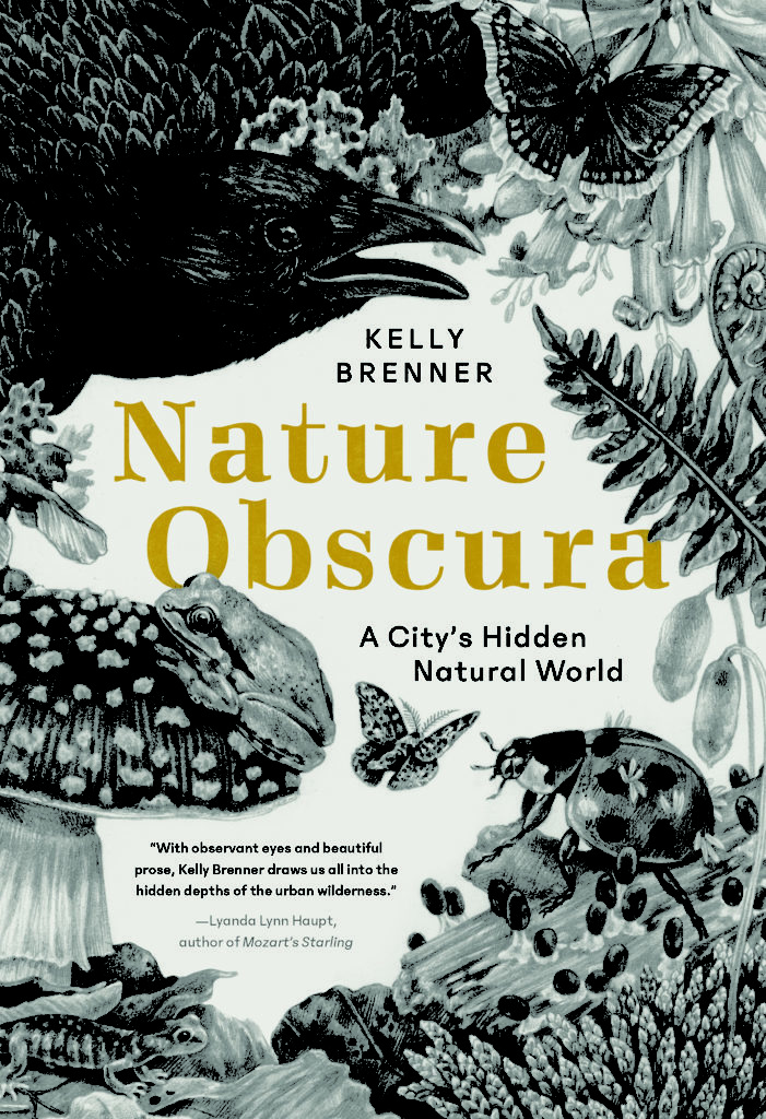 Nature Obscura: A City’s Hidden Natural World – Kelly Brenner